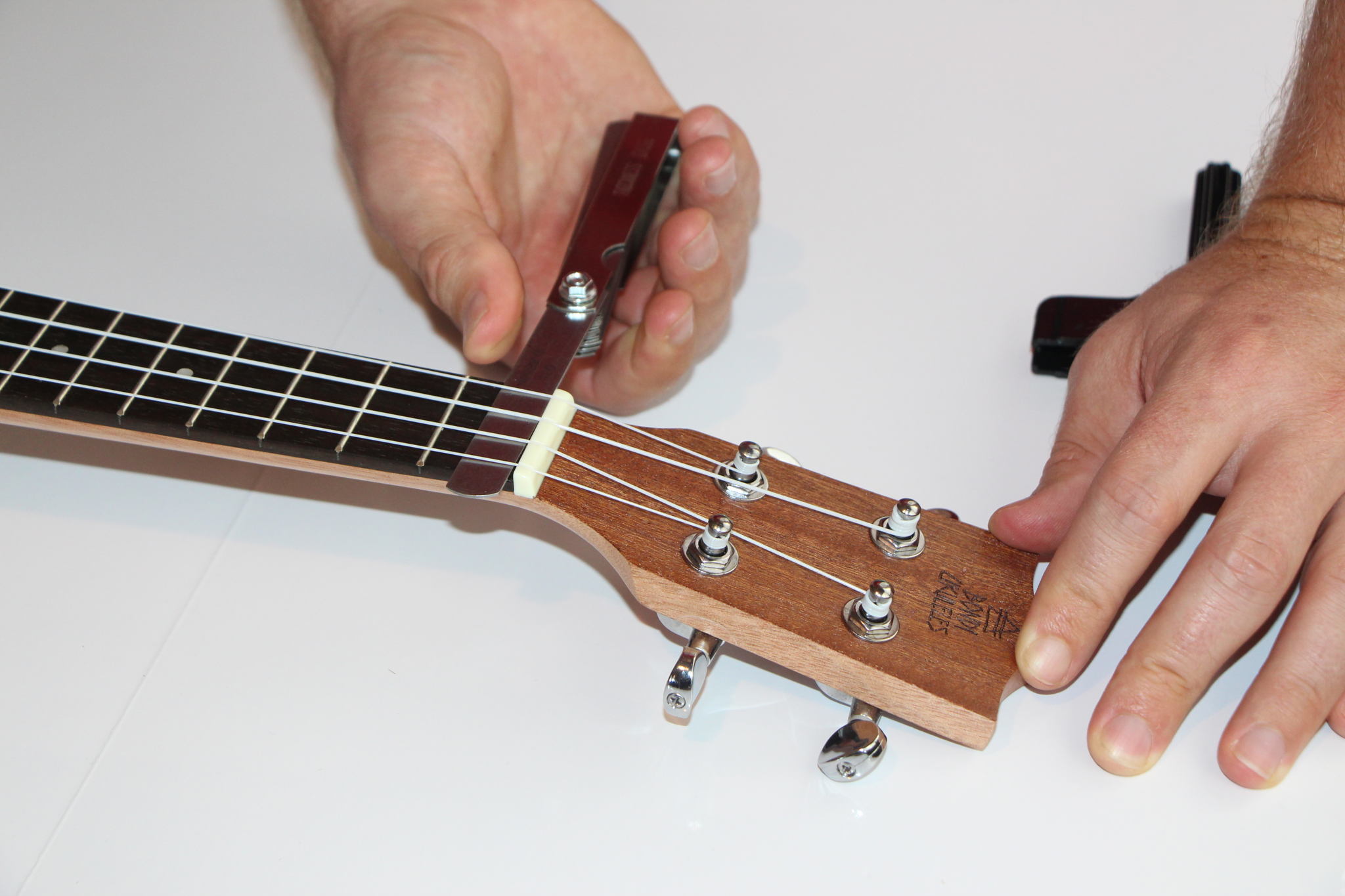 Step 4 - Check Action